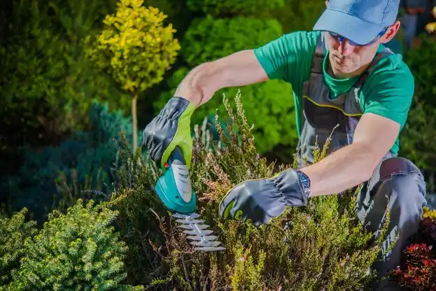landscaping services West Babylon